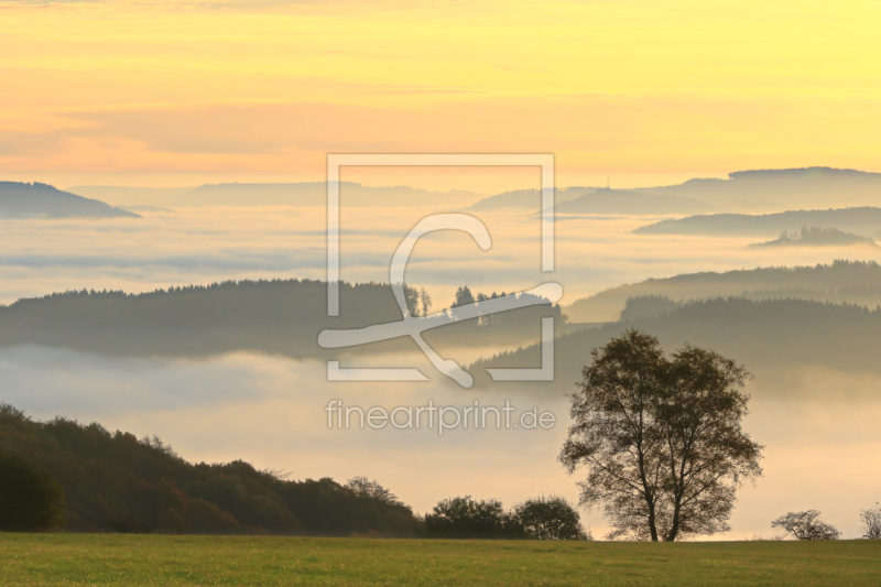 frei wählbarer Bildausschnitt für Ihr Bild auf Leinwand