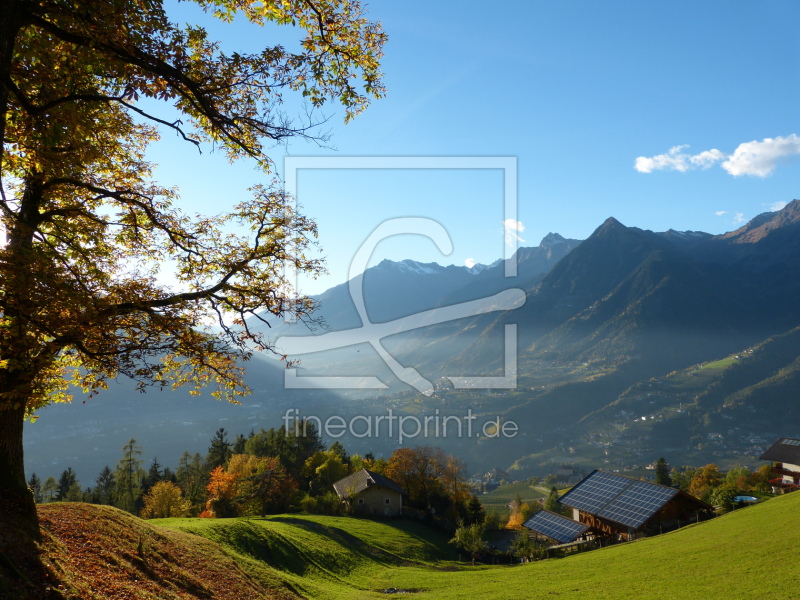 frei wählbarer Bildausschnitt für Ihr Bild auf Leinwand