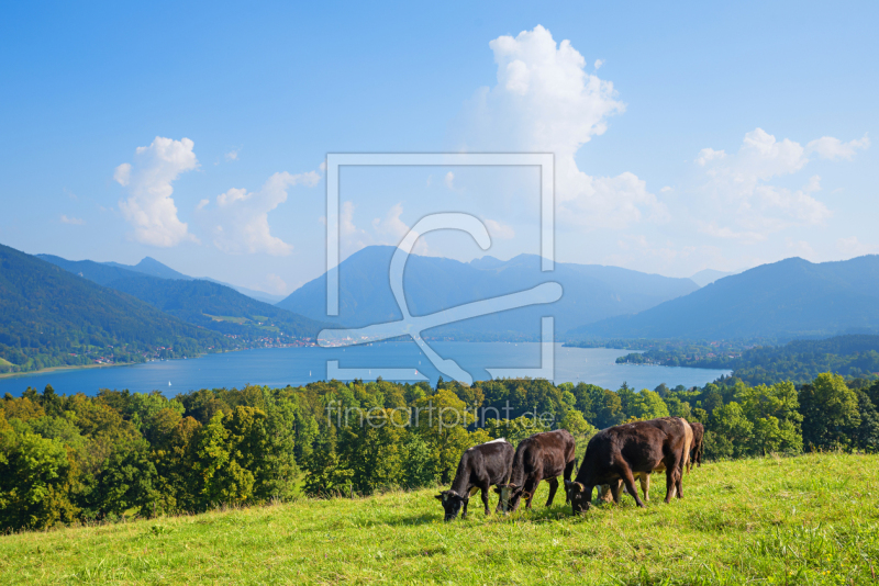 frei wählbarer Bildausschnitt für Ihr Bild auf Leinwand