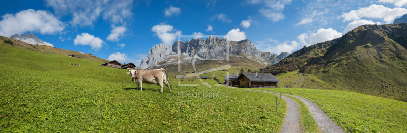 frei wählbarer Bildausschnitt für Ihr Bild auf Leinwand