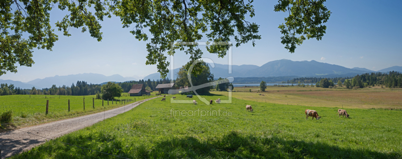 frei wählbarer Bildausschnitt für Ihr Bild auf Leinwand