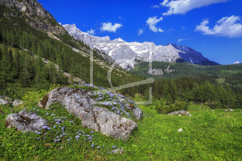 frei wählbarer Bildausschnitt für Ihr Bild auf Leinwand