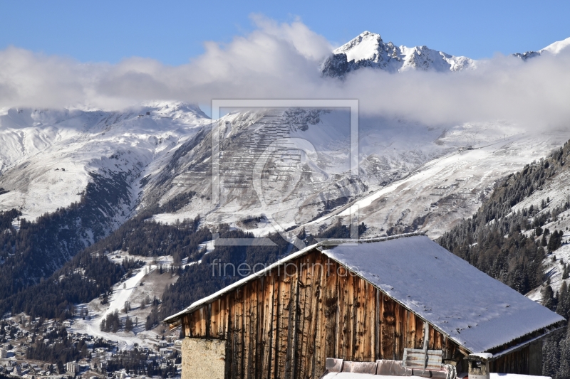 frei wählbarer Bildausschnitt für Ihr Bild auf Leinwand