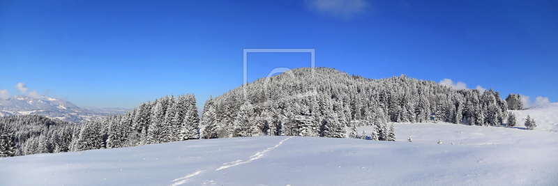 frei wählbarer Bildausschnitt für Ihr Bild auf Leinwand