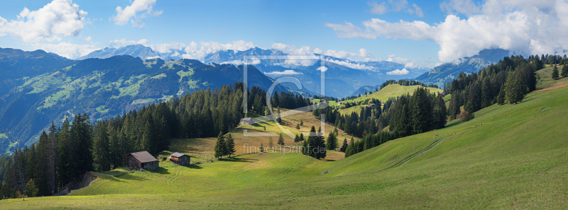 frei wählbarer Bildausschnitt für Ihr Bild auf Leinwand