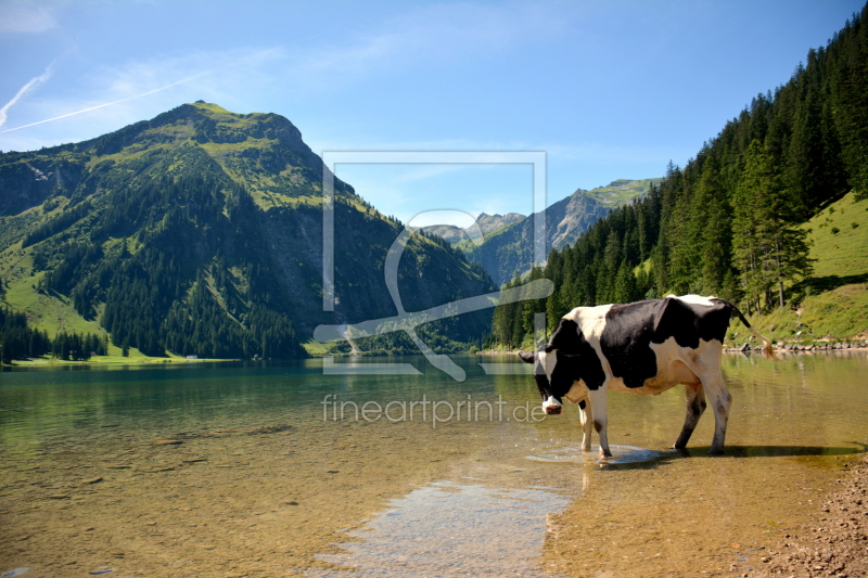 frei wählbarer Bildausschnitt für Ihr Bild auf Leinwand