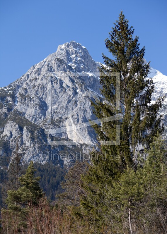 frei wählbarer Bildausschnitt für Ihr Bild auf Leinwand