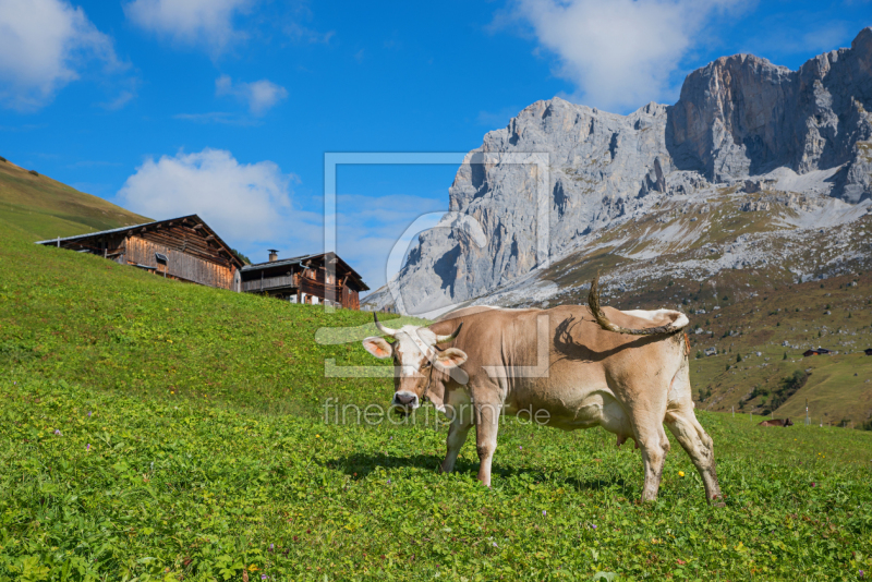 frei wählbarer Bildausschnitt für Ihr Bild auf Leinwand