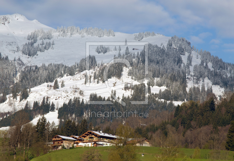 frei wählbarer Bildausschnitt für Ihr Bild auf Leinwand