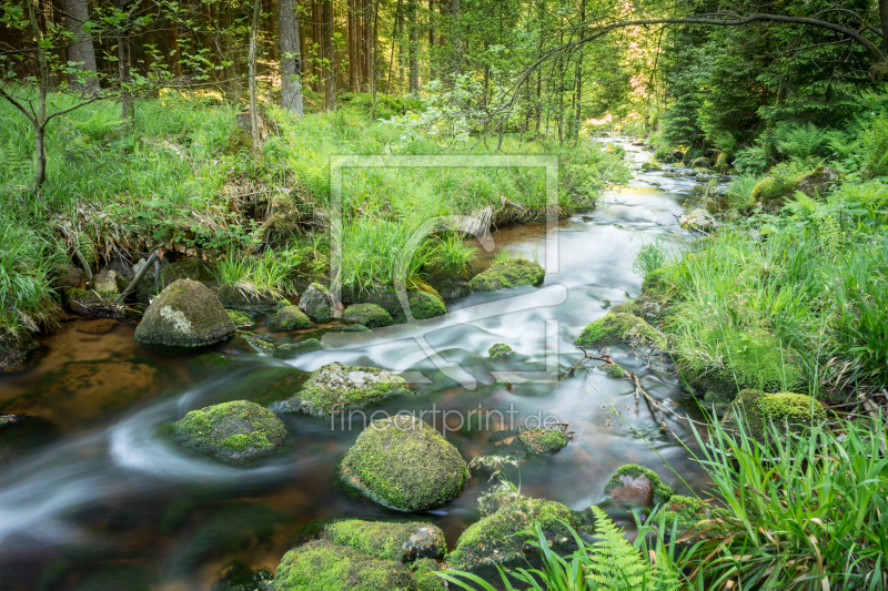 frei wählbarer Bildausschnitt für Ihr Bild auf Leinwand