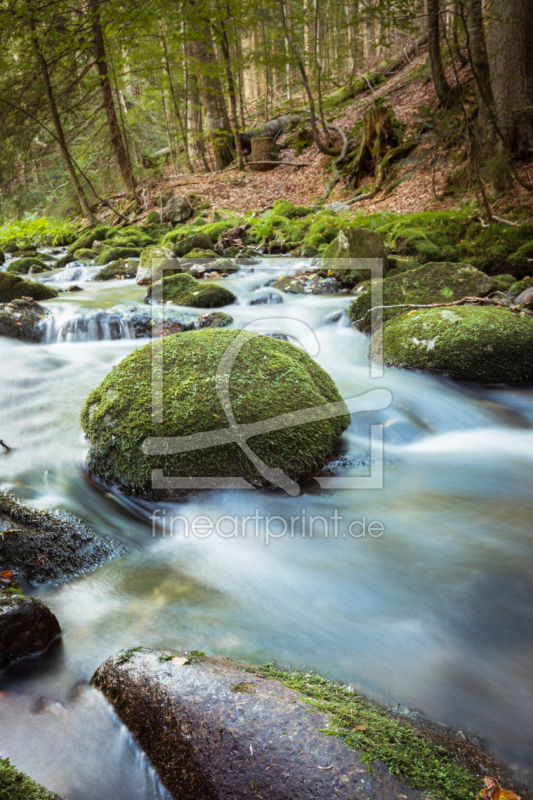 frei wählbarer Bildausschnitt für Ihr Bild auf Leinwand