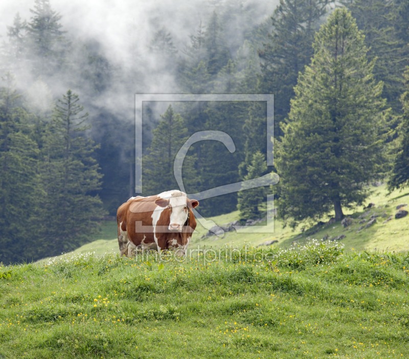 frei wählbarer Bildausschnitt für Ihr Bild auf Leinwand