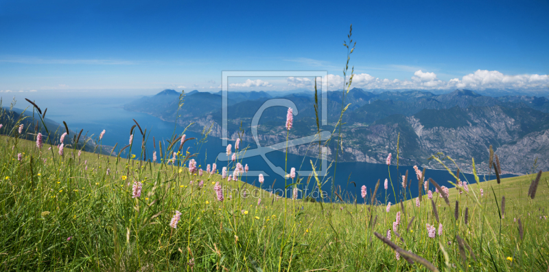 frei wählbarer Bildausschnitt für Ihr Bild auf Leinwand