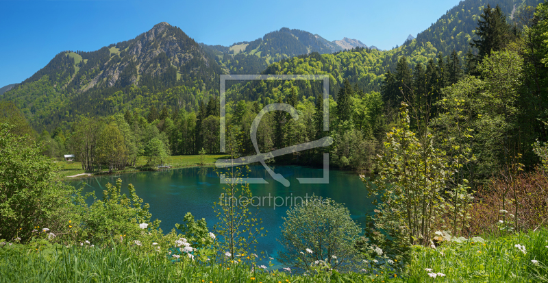 frei wählbarer Bildausschnitt für Ihr Bild auf Leinwand