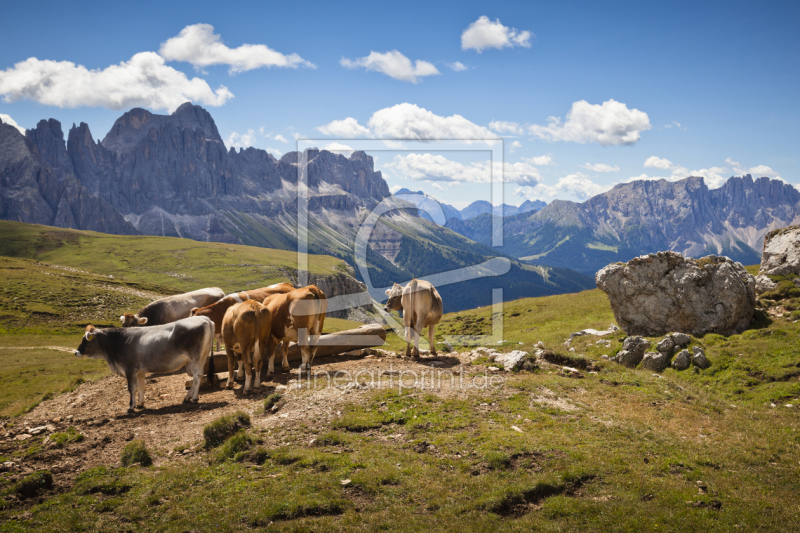 frei wählbarer Bildausschnitt für Ihr Bild auf Leinwand