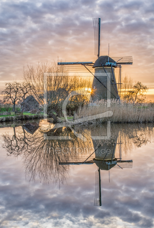 frei wählbarer Bildausschnitt für Ihr Bild auf Leinwand