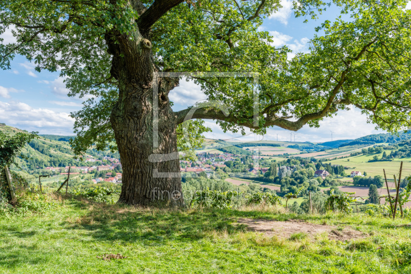 frei wählbarer Bildausschnitt für Ihr Bild auf Leinwand