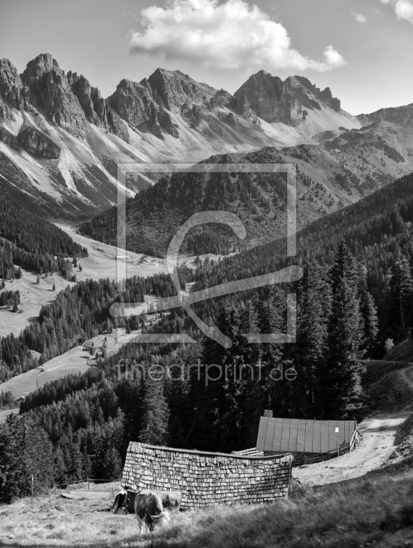 frei wählbarer Bildausschnitt für Ihr Bild auf Leinwand