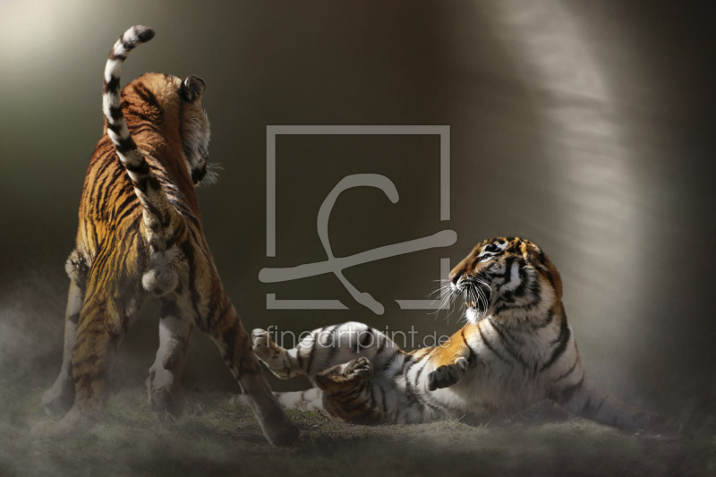 frei wählbarer Bildausschnitt für Ihr Bild auf Leinwand