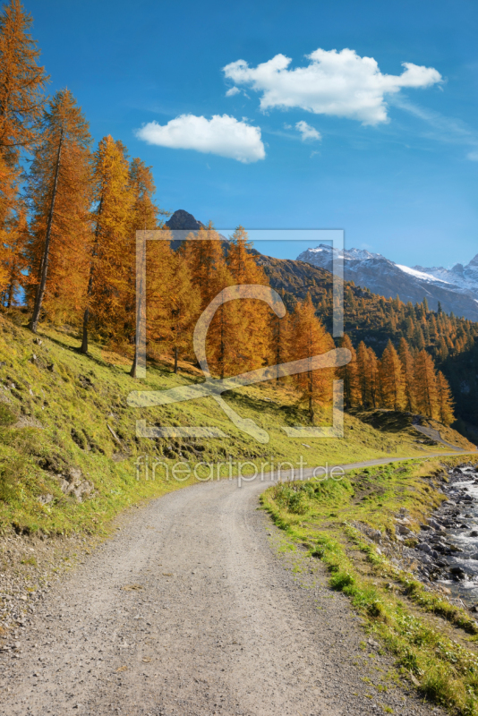 frei wählbarer Bildausschnitt für Ihr Bild auf Leinwand