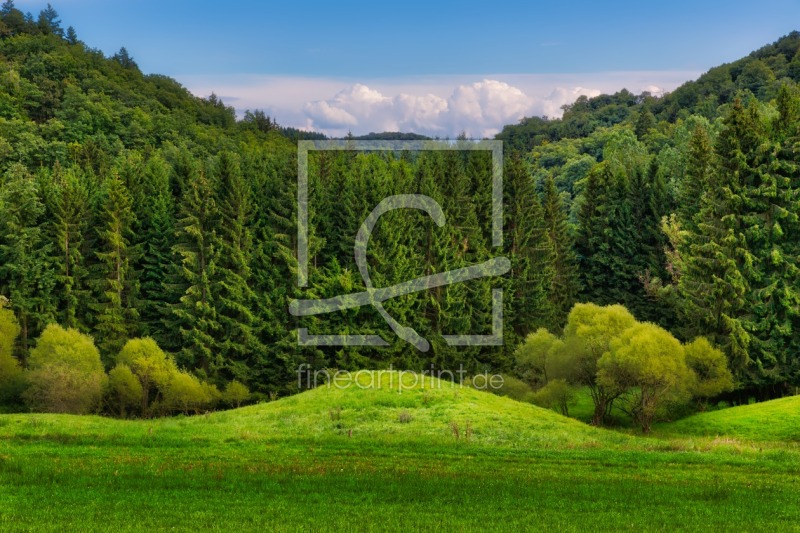 frei wählbarer Bildausschnitt für Ihr Bild auf Leinwand