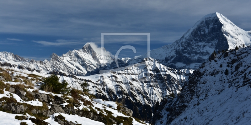 frei wählbarer Bildausschnitt für Ihr Bild auf Leinwand