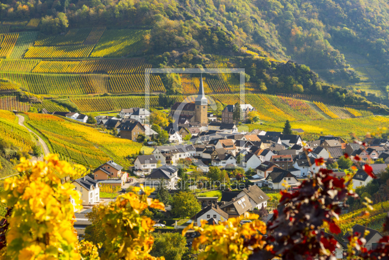 frei wählbarer Bildausschnitt für Ihr Bild auf Leinwand