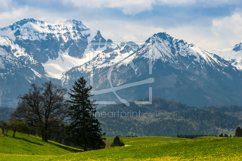 frei wählbarer Bildausschnitt für Ihr Bild auf Leinwand