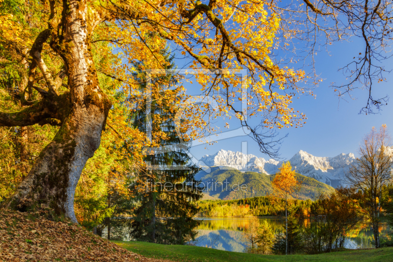 frei wählbarer Bildausschnitt für Ihr Bild auf Leinwand