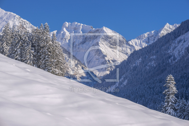 frei wählbarer Bildausschnitt für Ihr Bild auf Leinwand