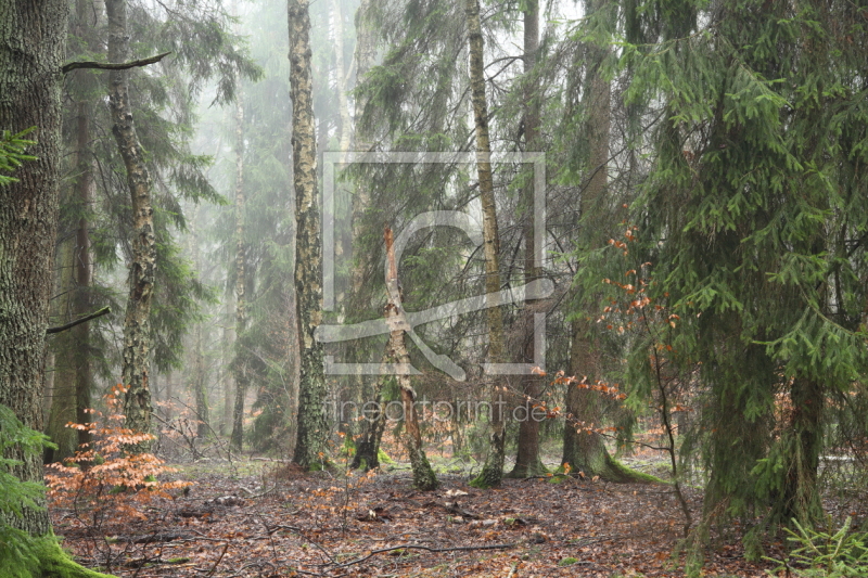 frei wählbarer Bildausschnitt für Ihr Bild auf Leinwand