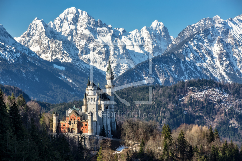 frei wählbarer Bildausschnitt für Ihr Bild auf Leinwand