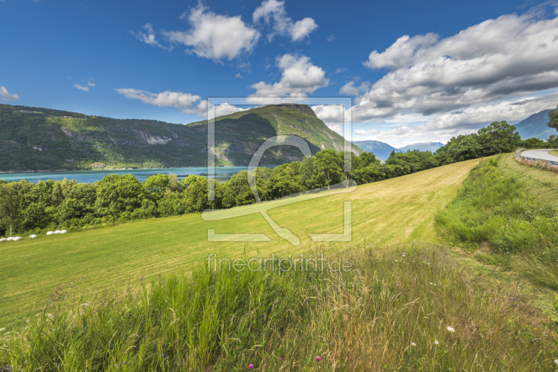 frei wählbarer Bildausschnitt für Ihr Bild auf Leinwand