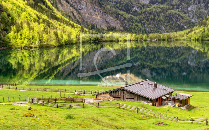 frei wählbarer Bildausschnitt für Ihr Bild auf Leinwand