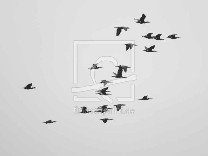 frei wählbarer Bildausschnitt für Ihr Bild auf Leinwand