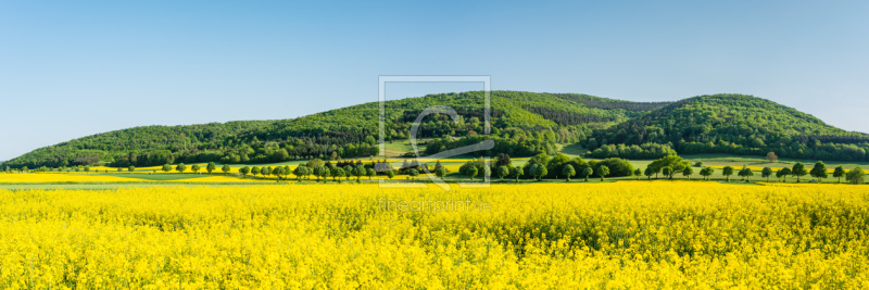 frei wählbarer Bildausschnitt für Ihr Bild auf Leinwand