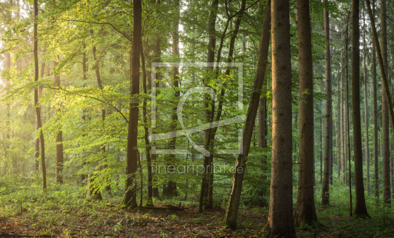 frei wählbarer Bildausschnitt für Ihr Bild auf Leinwand