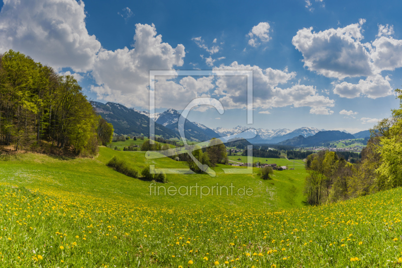 frei wählbarer Bildausschnitt für Ihr Bild auf Leinwand