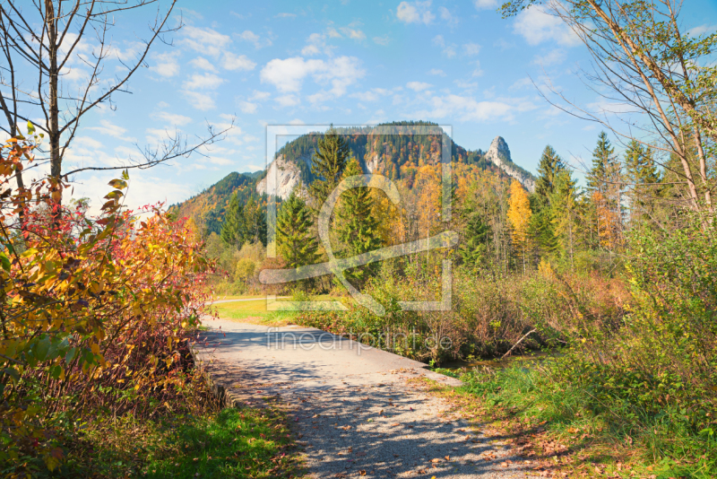 frei wählbarer Bildausschnitt für Ihr Bild auf Leinwand