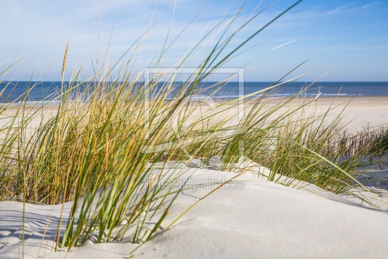frei wählbarer Bildausschnitt für Ihr Bild auf Leinwand
