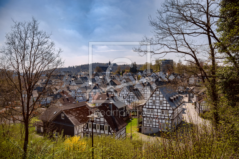 frei wählbarer Bildausschnitt für Ihr Bild auf Leinwand