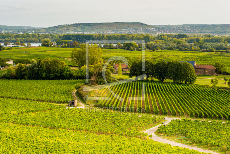 frei wählbarer Bildausschnitt für Ihr Bild auf Leinwand