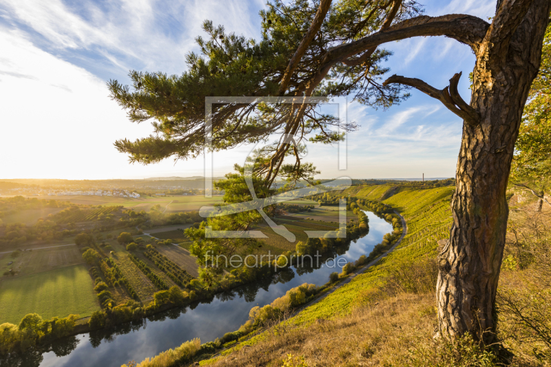 frei wählbarer Bildausschnitt für Ihr Bild auf Leinwand