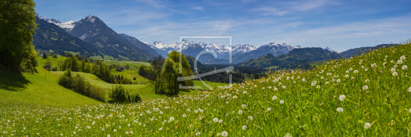 frei wählbarer Bildausschnitt für Ihr Bild auf Leinwand