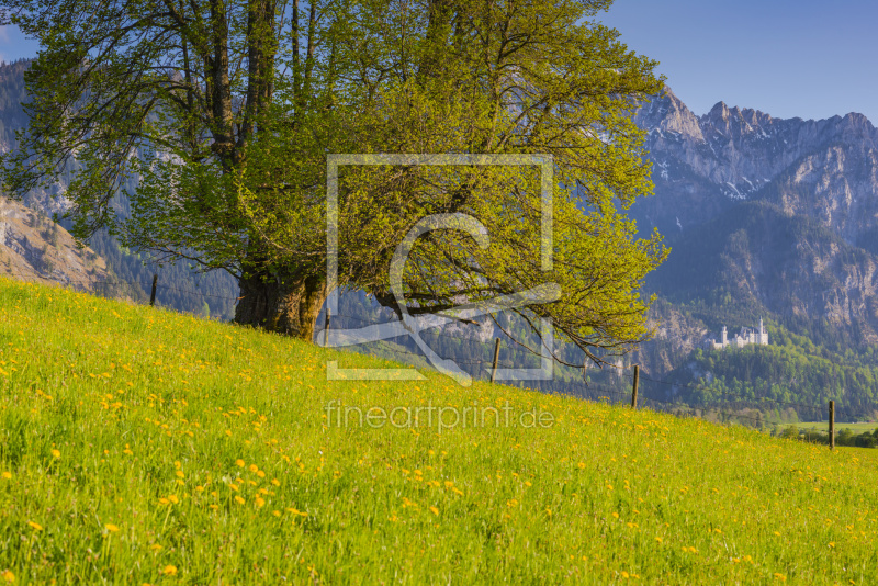 frei wählbarer Bildausschnitt für Ihr Bild auf Leinwand