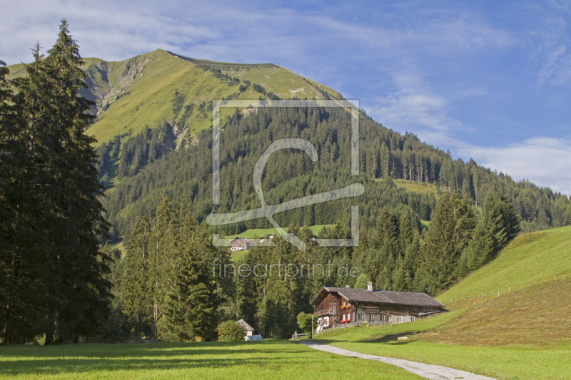 frei wählbarer Bildausschnitt für Ihr Bild auf Leinwand