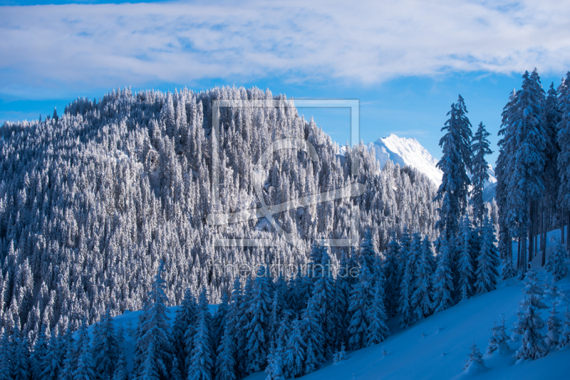 frei wählbarer Bildausschnitt für Ihr Bild auf Leinwand