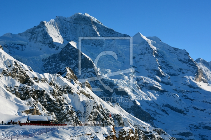 frei wählbarer Bildausschnitt für Ihr Bild auf Leinwand