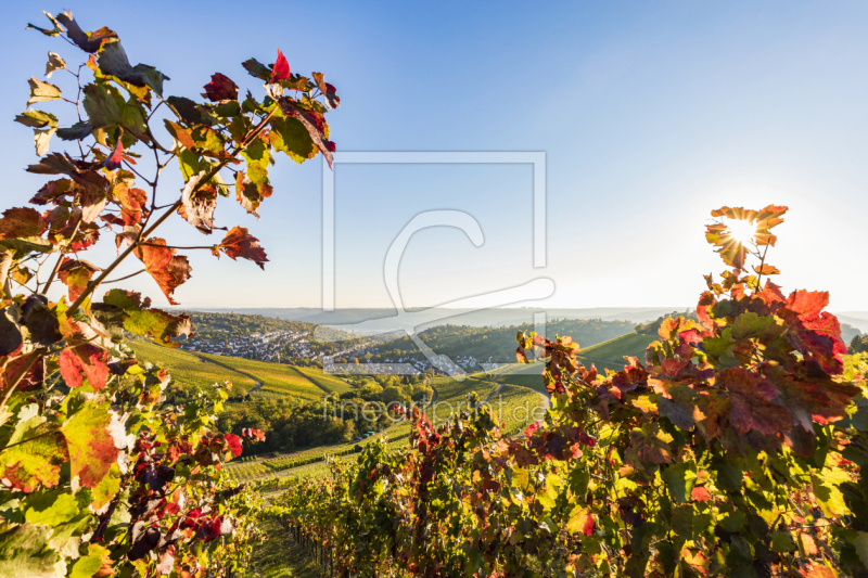 frei wählbarer Bildausschnitt für Ihr Bild auf Leinwand