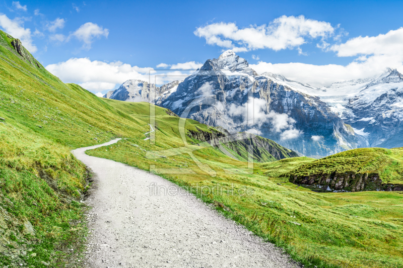 frei wählbarer Bildausschnitt für Ihr Bild auf Leinwand